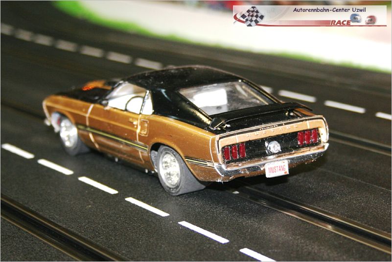 Mustang Gold (2)